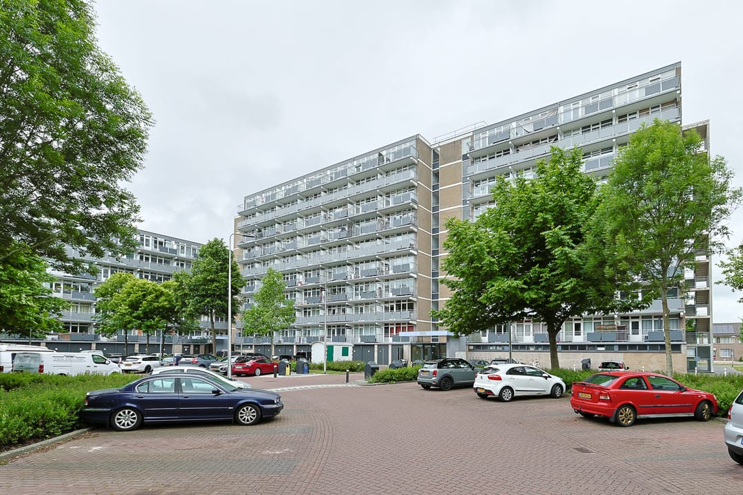 Foto 2 van Lupinesingel 352