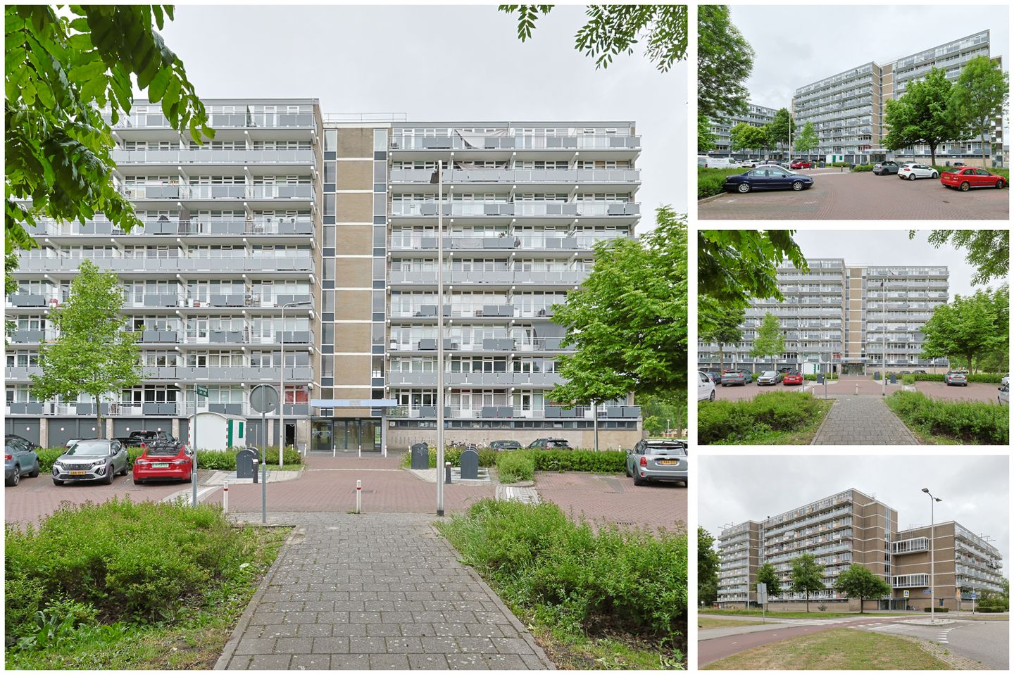 Foto 4 van Lupinesingel 352