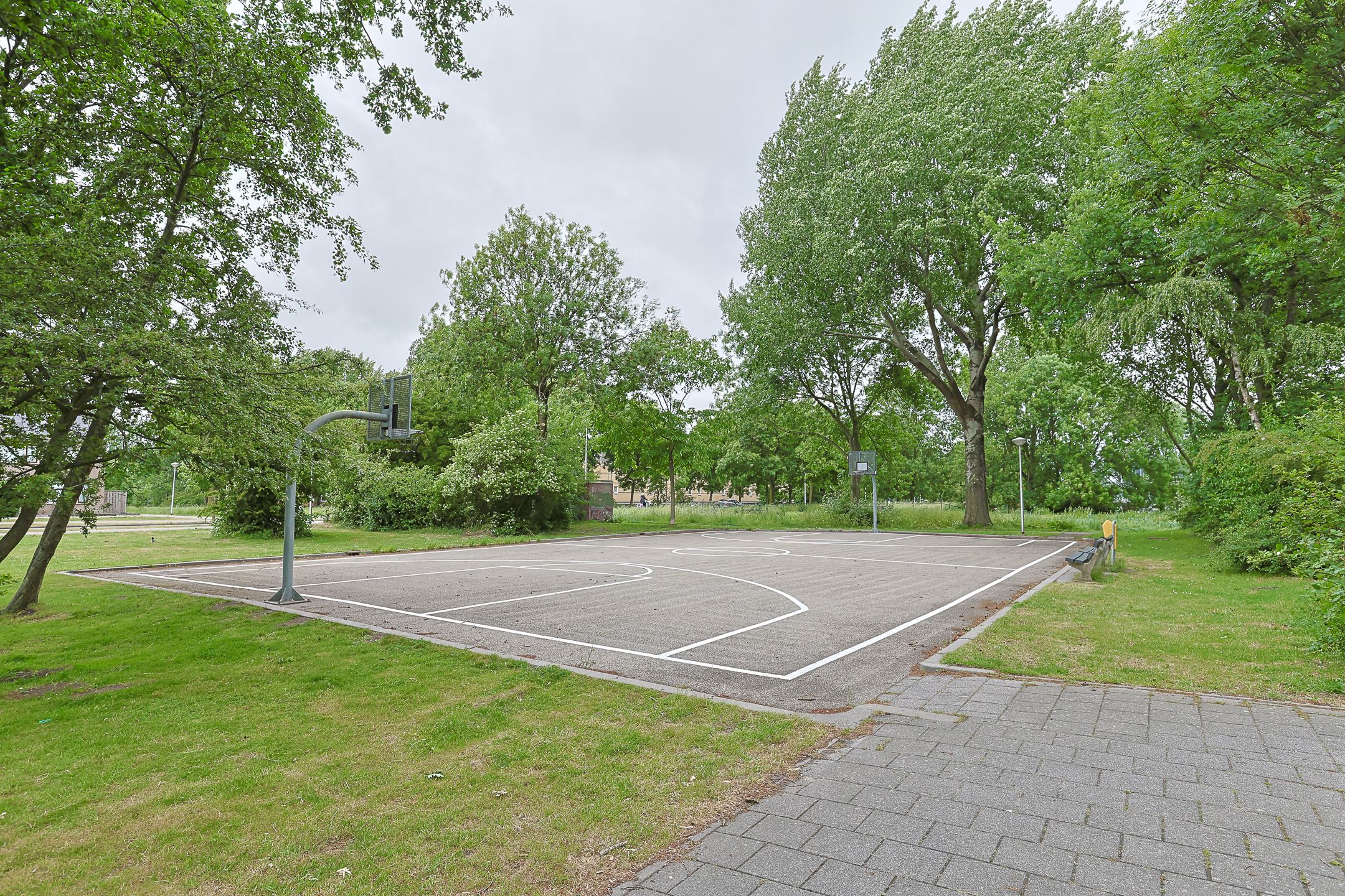 Foto 3 van Lupinesingel 352