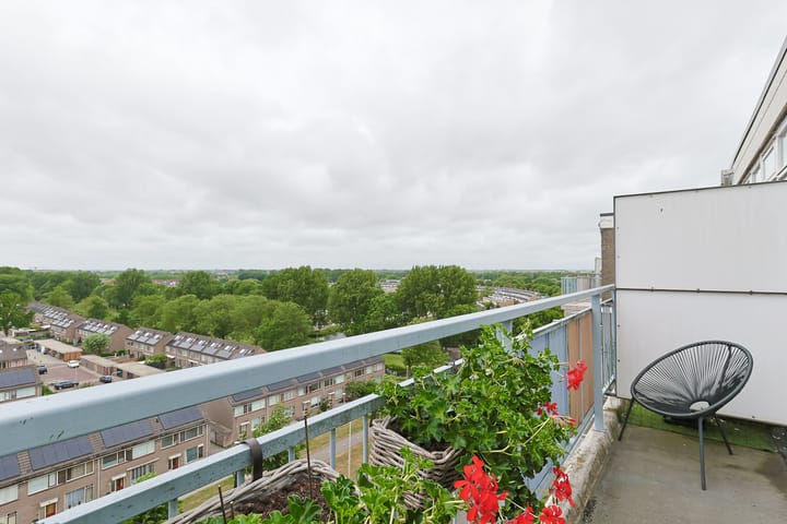 Foto 11 van Lupinesingel 352