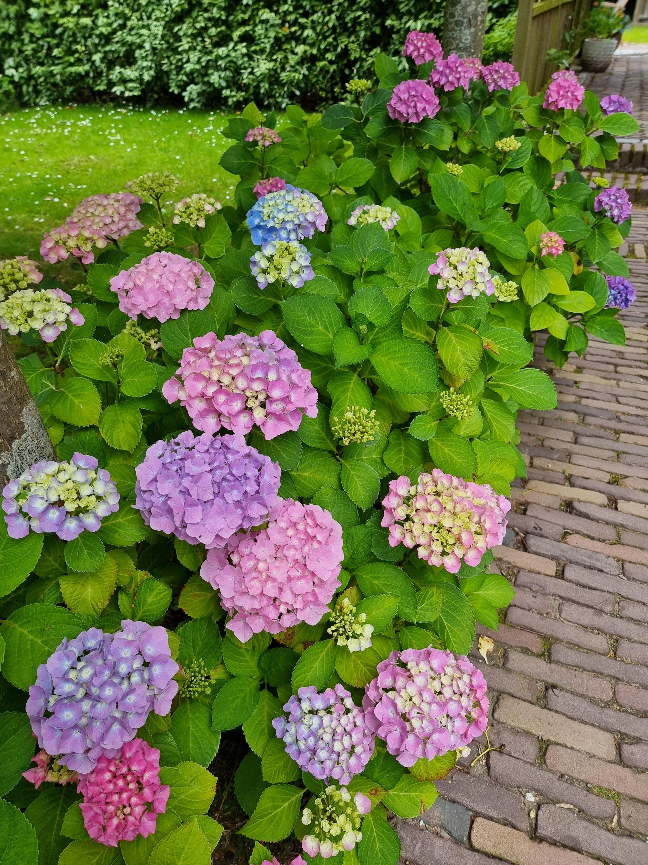 Photo 45 of de Rijckplein 2