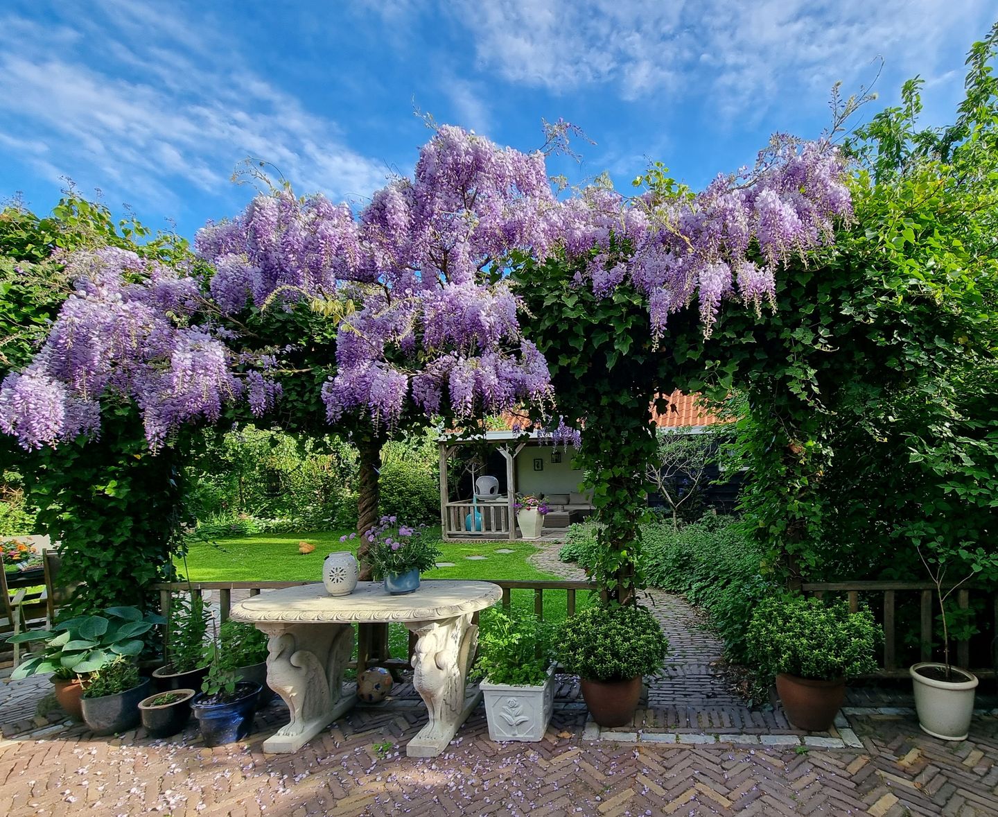 Photo 50 of de Rijckplein 2