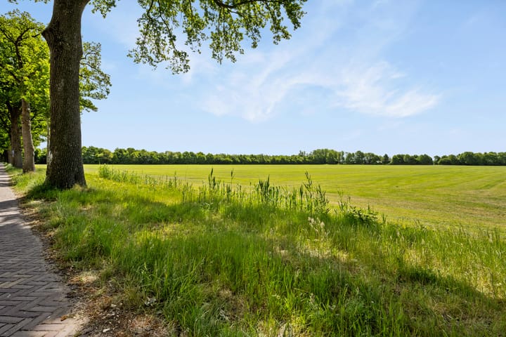 Foto 10 van Eemster 1