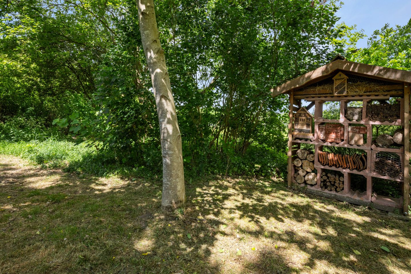 Foto 55 van Eemster 1