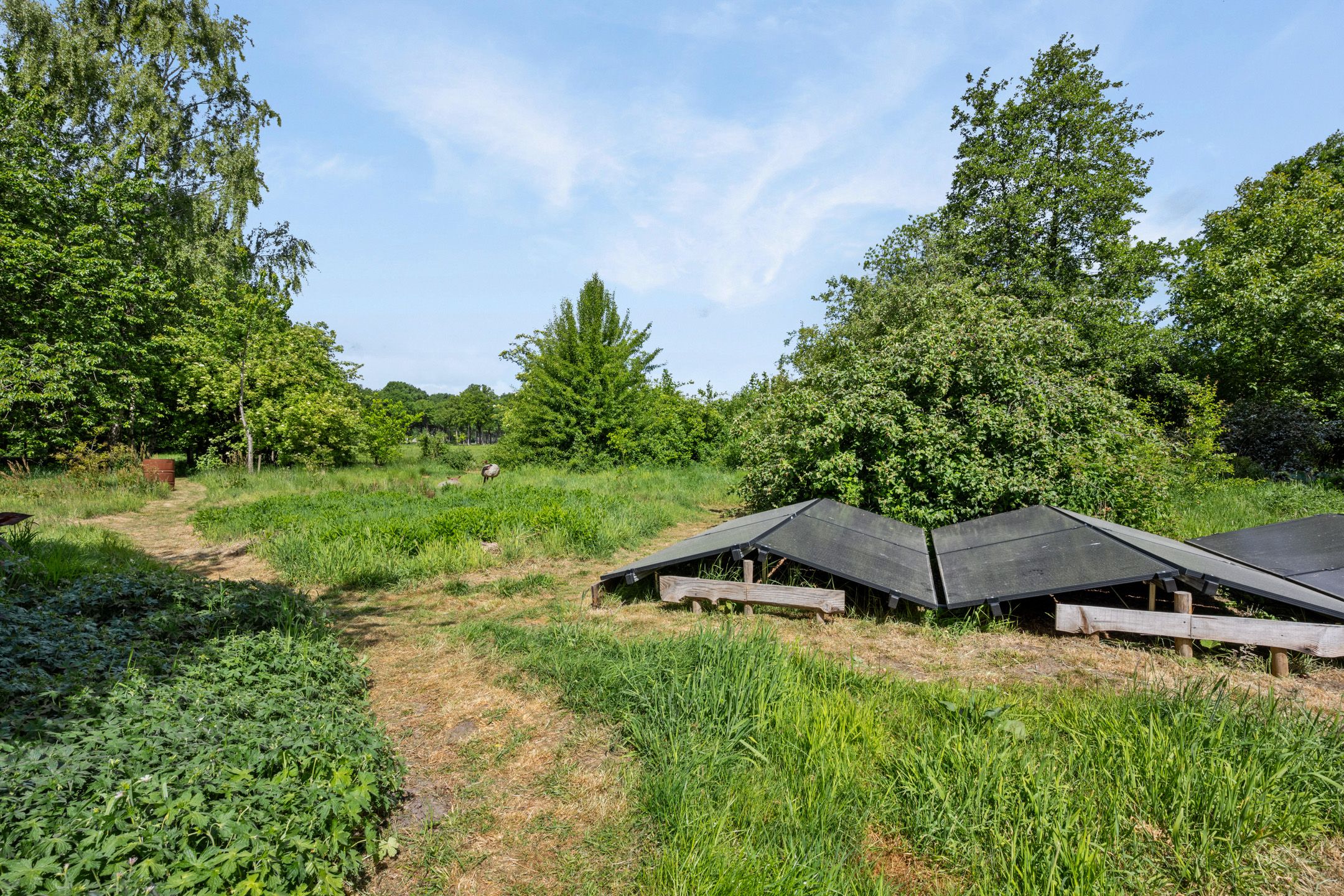 Foto 54 van Eemster 1