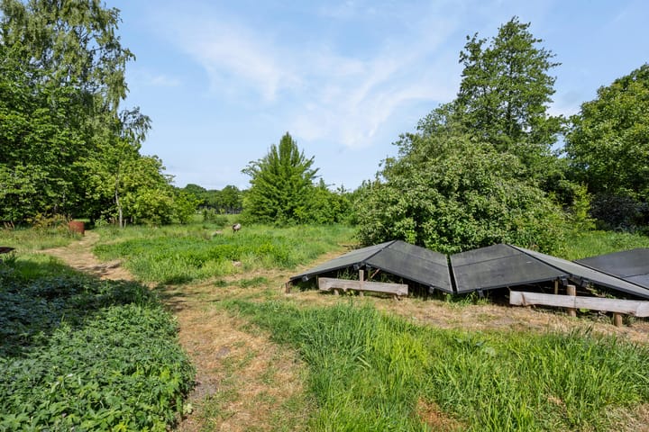 Foto 54 van Eemster 1