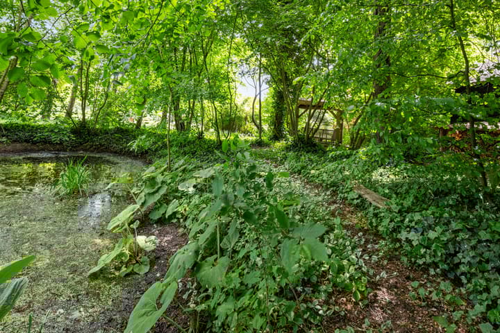 Foto 62 van Eemster 1