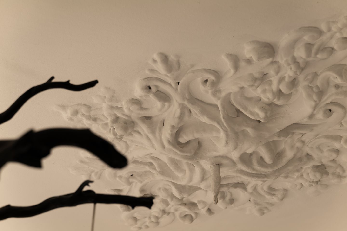 Foto 19 van Plantage Middenlaan 88-O