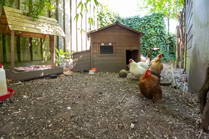 Photo 34 of Kerkstraat 13