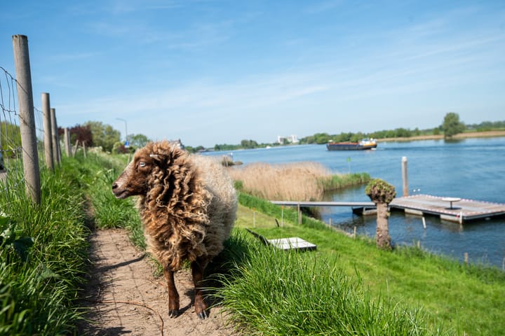 Photo 39 of Kerkstraat 13