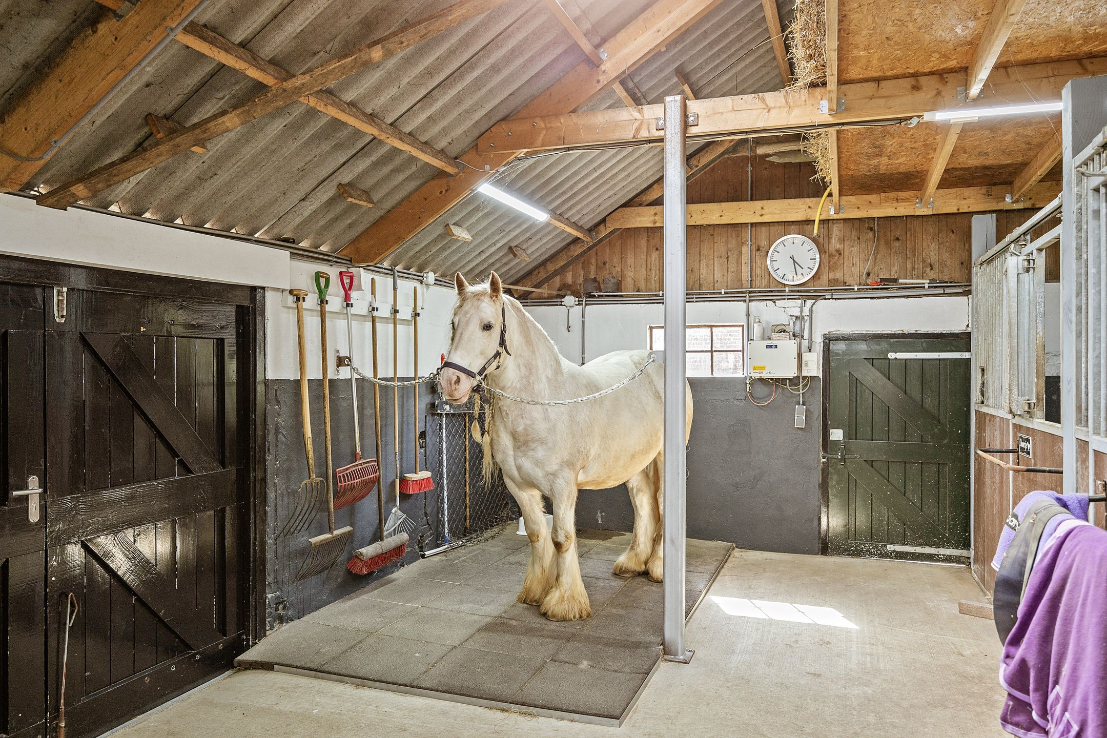 Foto 48 van Breedijk 3