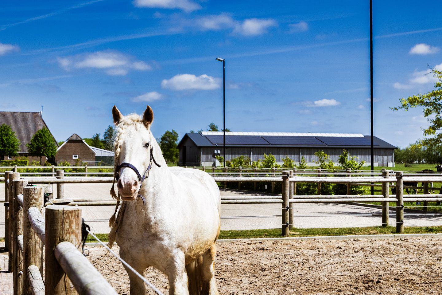 Foto 49 van Breedijk 3