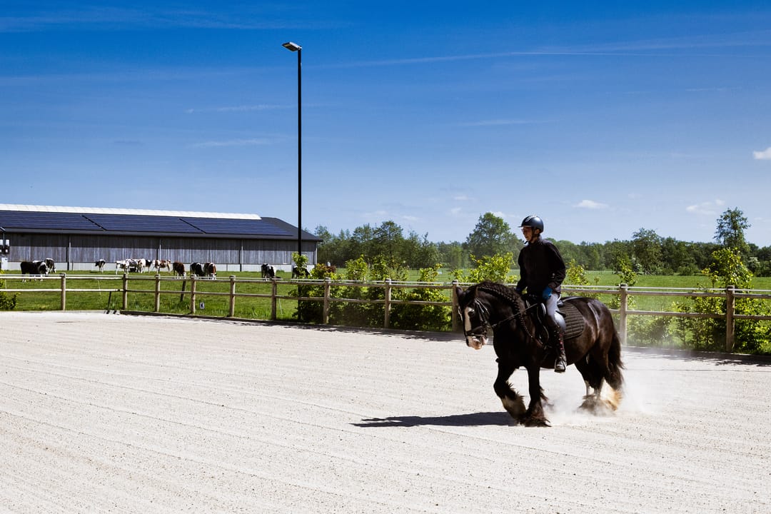 Foto 53 van Breedijk 3