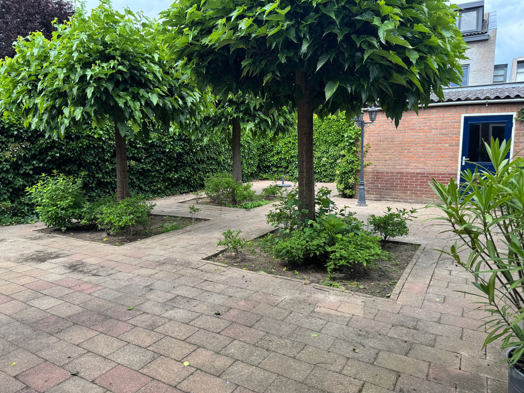 Foto 21 van Nieuwstraat 8