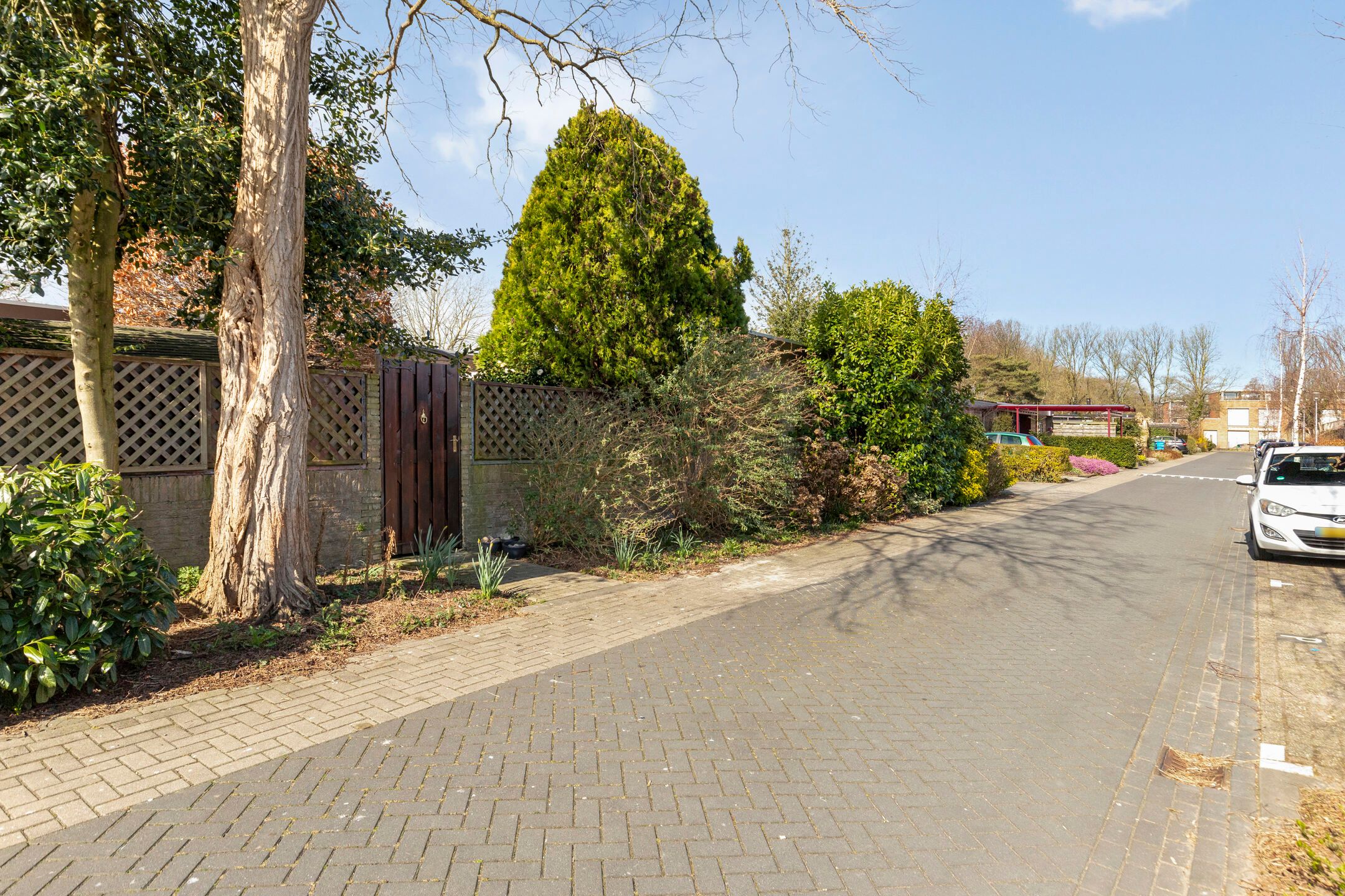 Photo 3 of Park Berkenoord 21