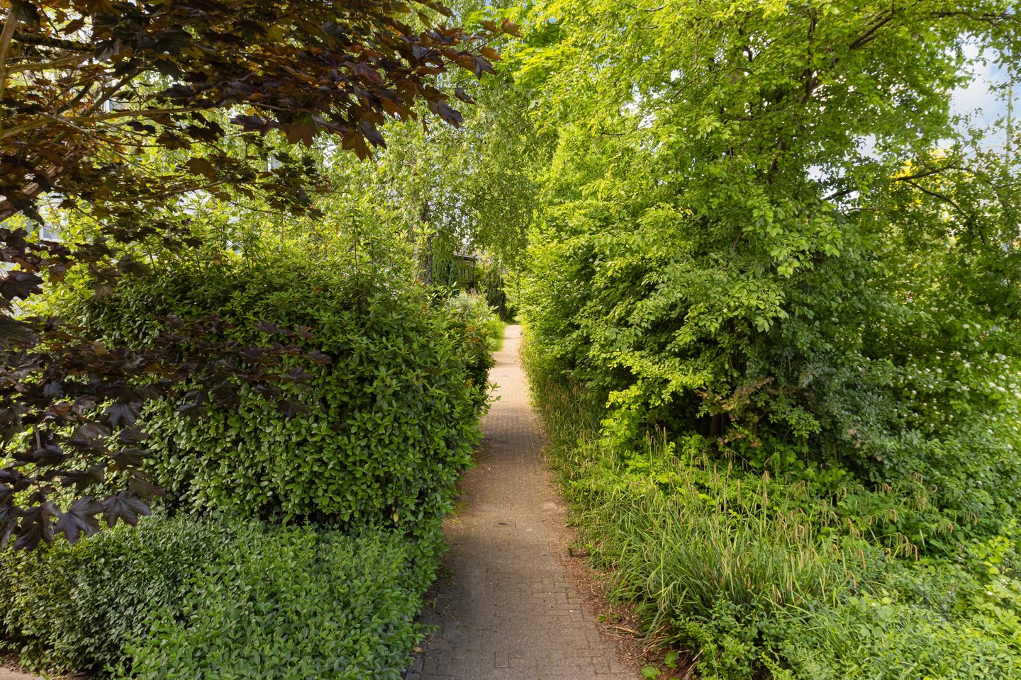 Foto 50 van Lyra 107