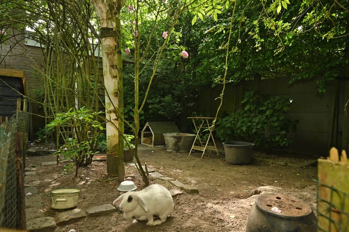 Foto 52 van Schoolstraat 5