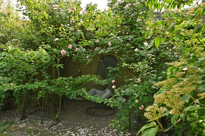 Foto 54 van Schoolstraat 5