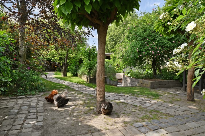 Foto 57 van Schoolstraat 5