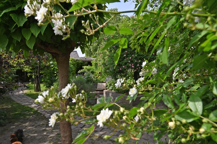 Foto 58 van Schoolstraat 5