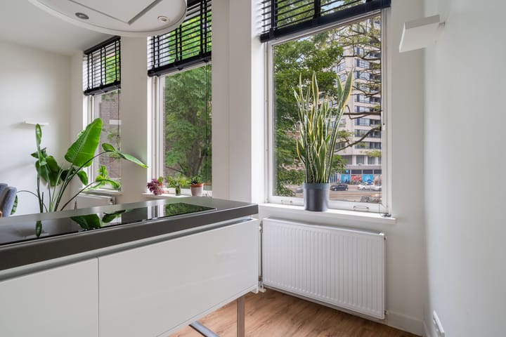 Foto 21 van Laan van Meerdervoort 189-C1