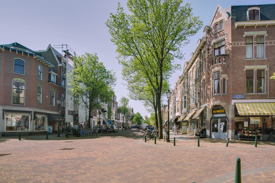 Foto 53 van Van Weede van Dijkveldstraat 101