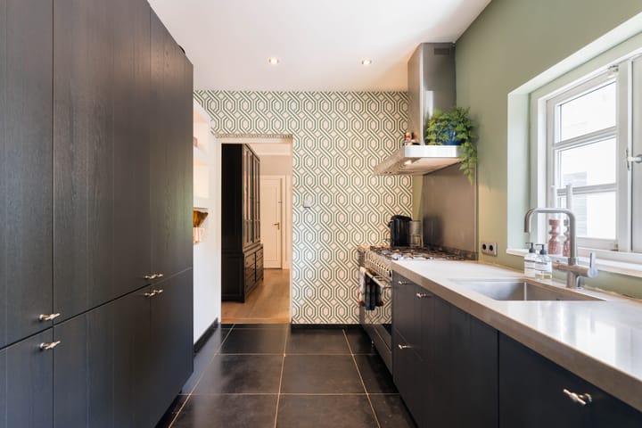 Foto 3 van Louis Regoutstraat 48