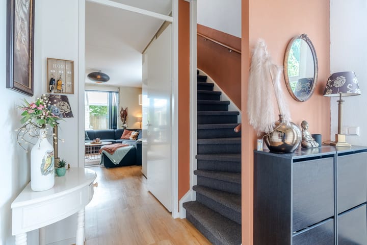 Foto 5 van Zebrakever 56