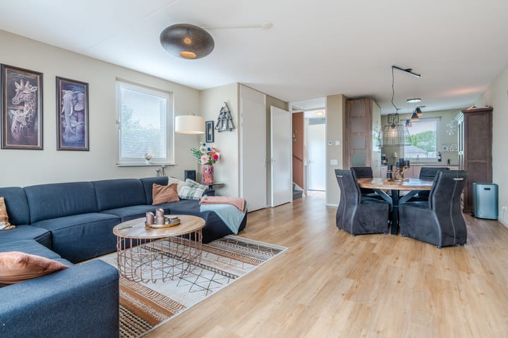 Foto 9 van Zebrakever 56