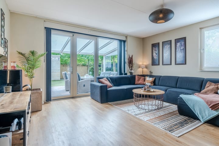 Foto 7 van Zebrakever 56