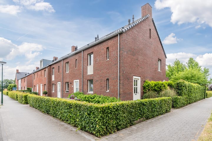 Foto 1 van Zebrakever 56