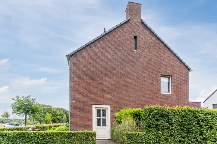 Foto 34 van Zebrakever 56