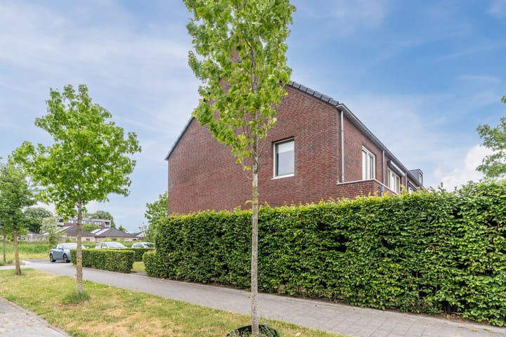 Foto 36 van Zebrakever 56