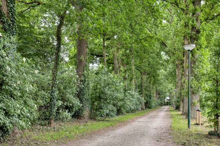 Foto 42 van Lindenhof 20