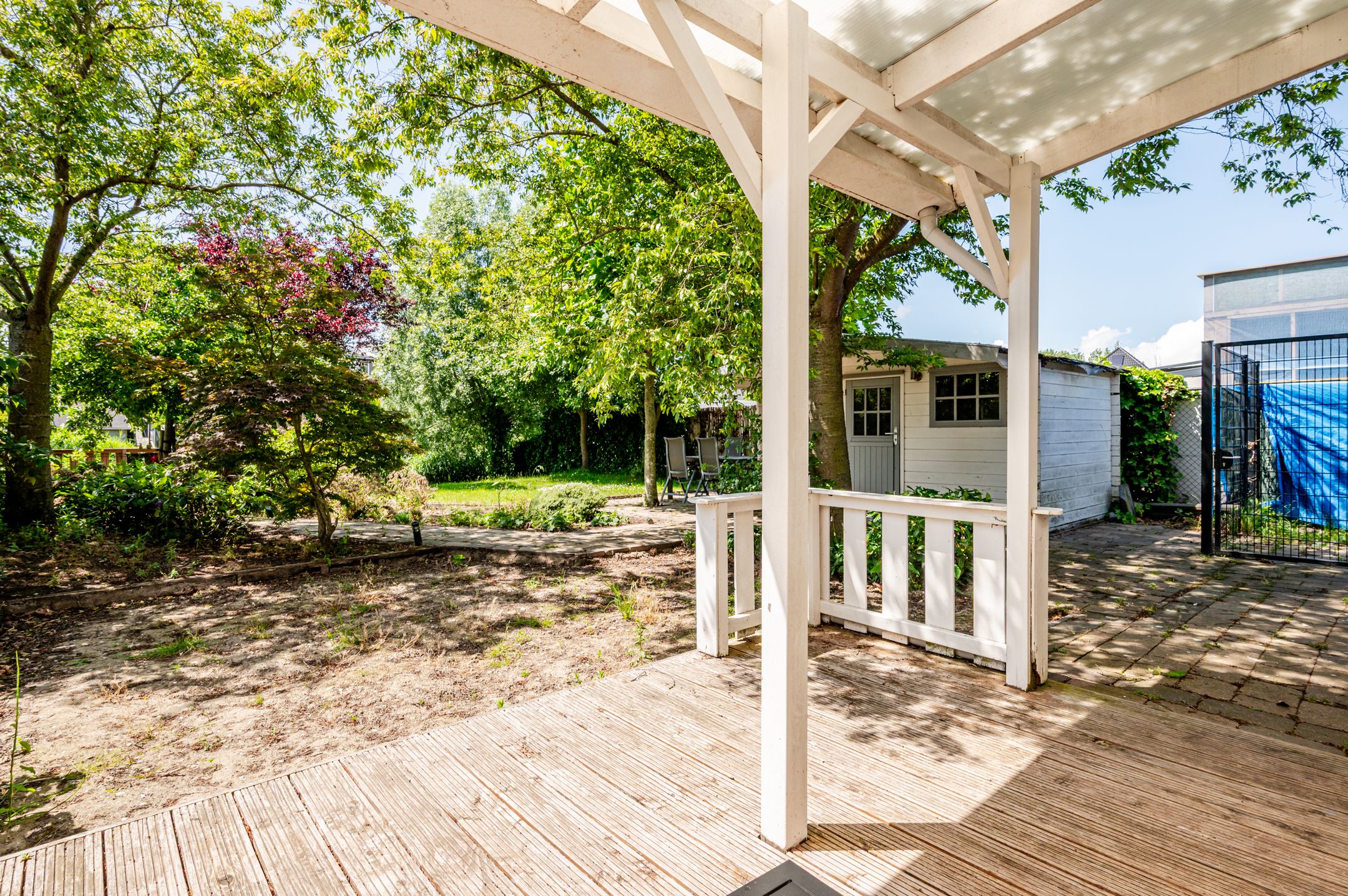 Foto 39 van Albatroslaan 189