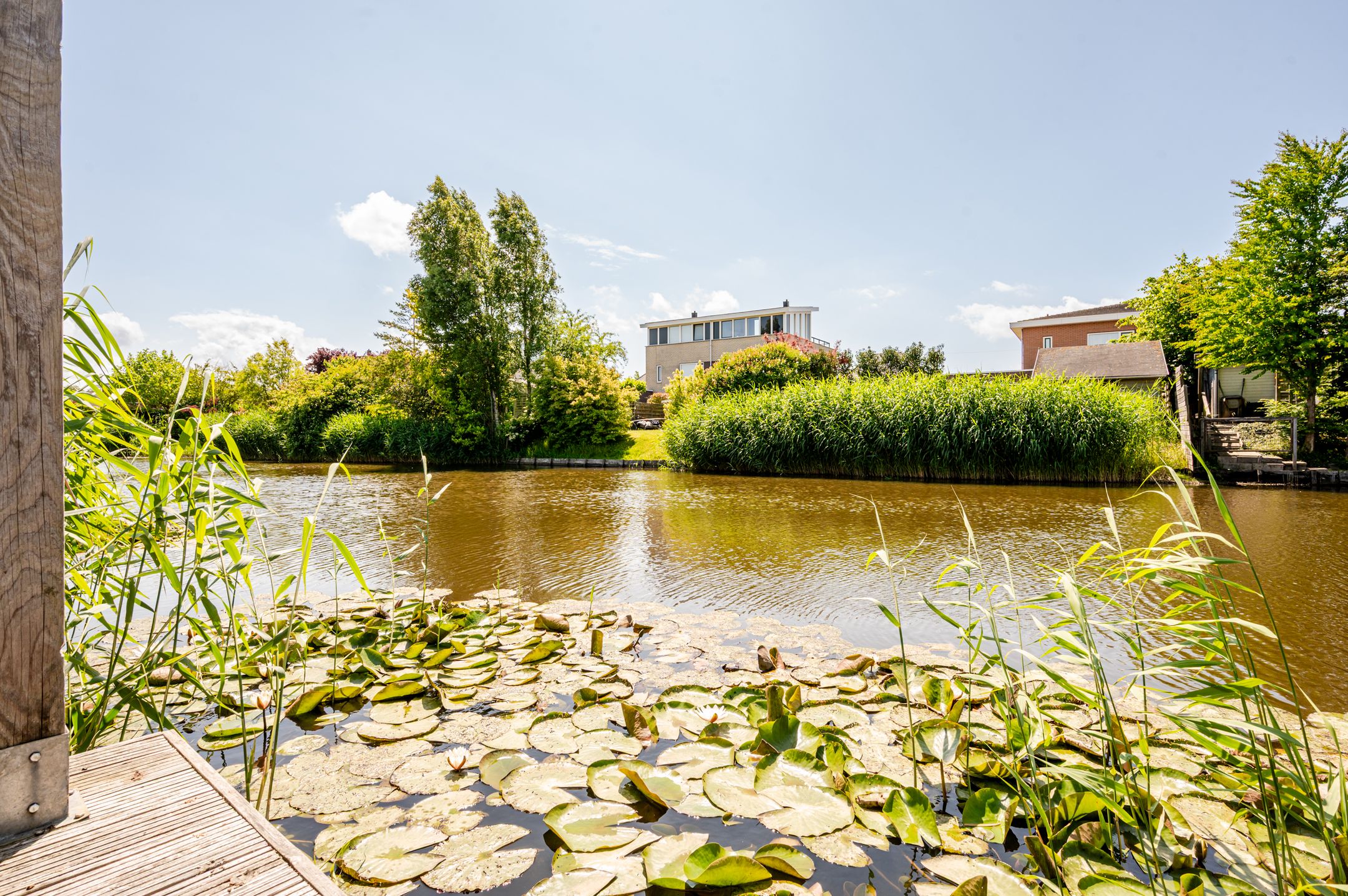 Foto 42 van Albatroslaan 189