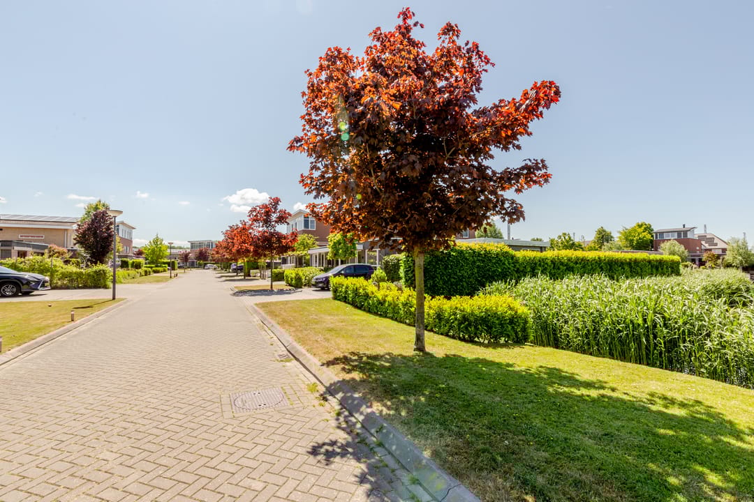 Foto 46 van Albatroslaan 189