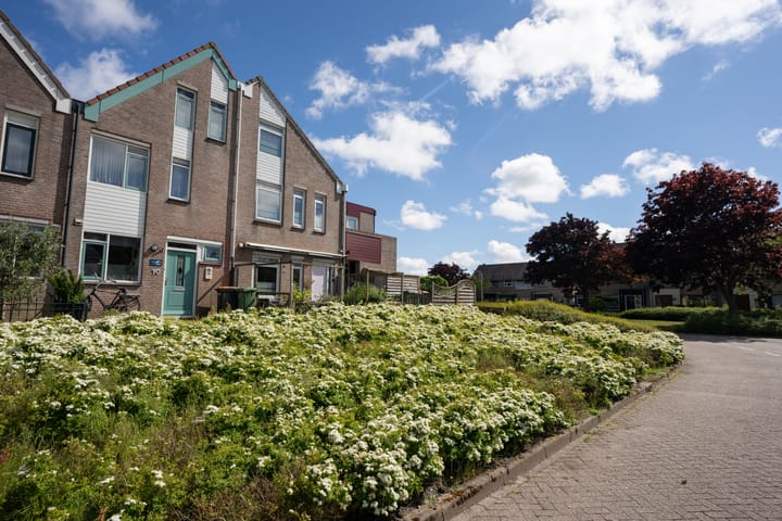 Foto 62 van Noordwester 88