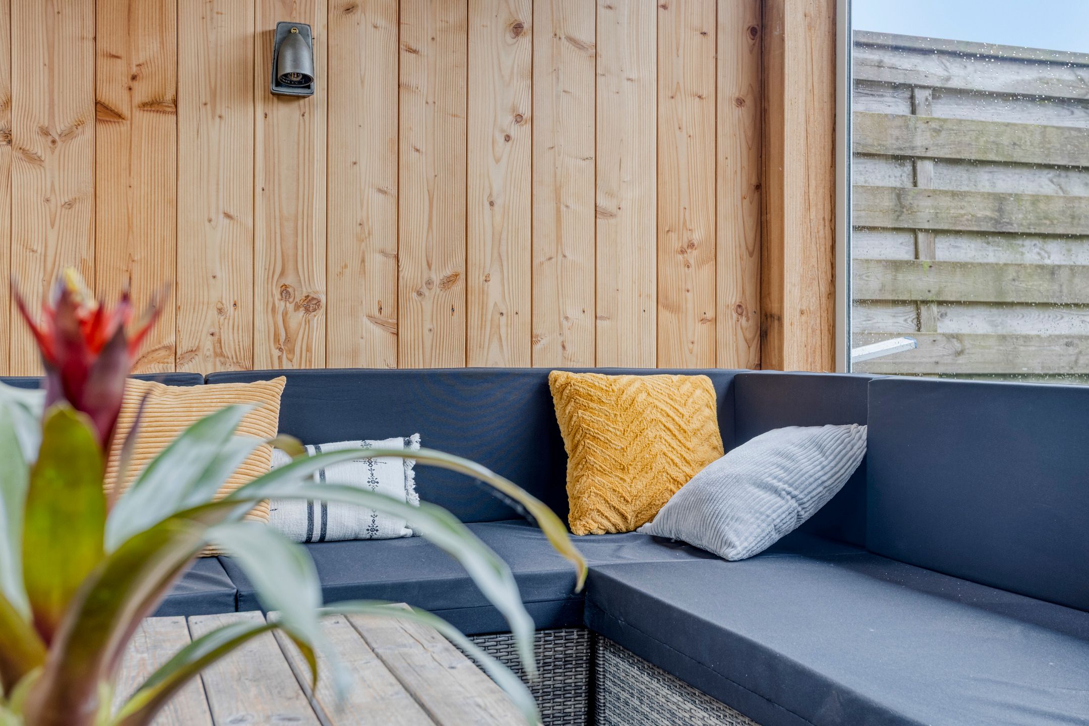 Foto 24 van Citroenvlinder 12