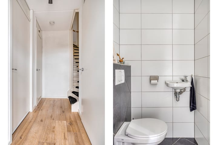 Foto 10 van Citroenvlinder 12