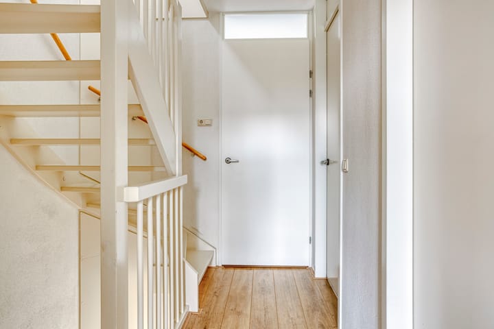 Foto 11 van Citroenvlinder 12