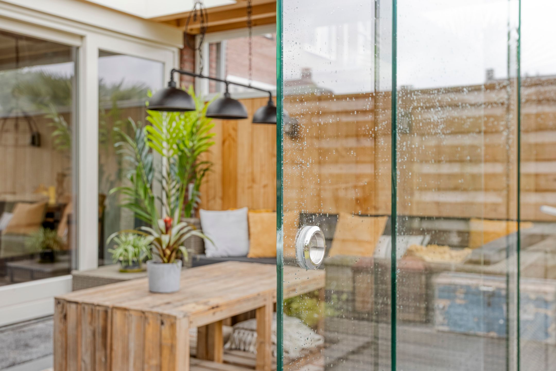 Foto 27 van Citroenvlinder 12