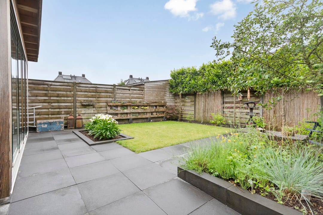 Foto 28 van Citroenvlinder 12