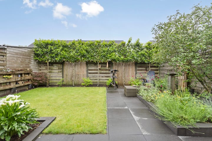 Foto 29 van Citroenvlinder 12