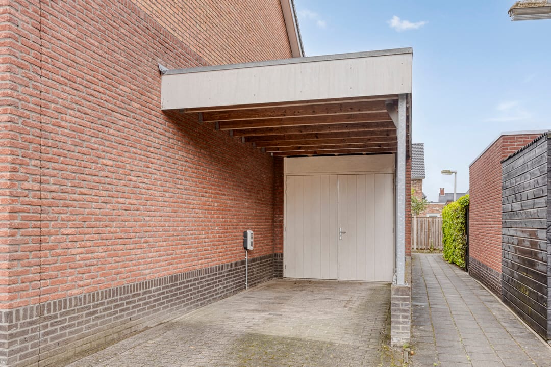 Foto 32 van Citroenvlinder 12