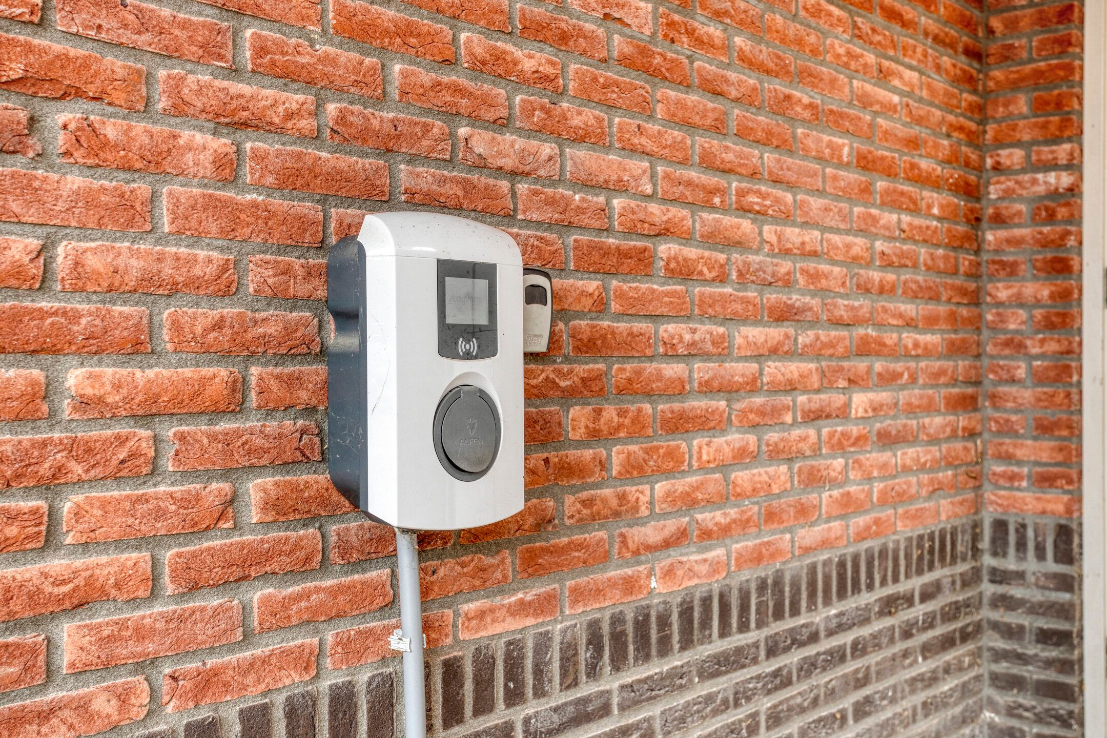 Foto 33 van Citroenvlinder 12