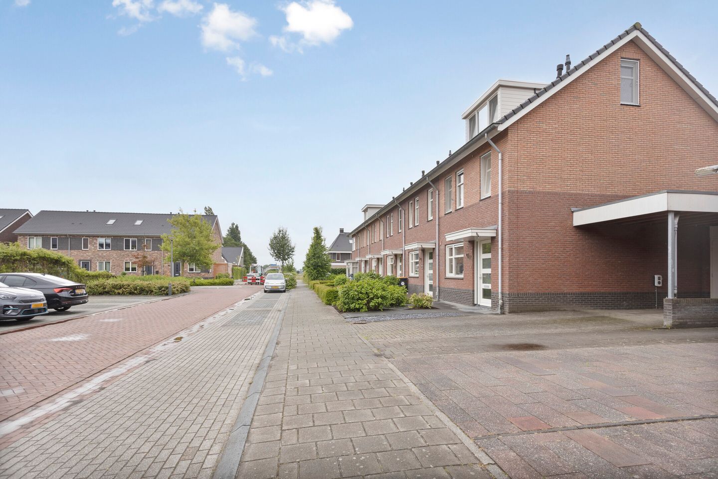 Foto 34 van Citroenvlinder 12