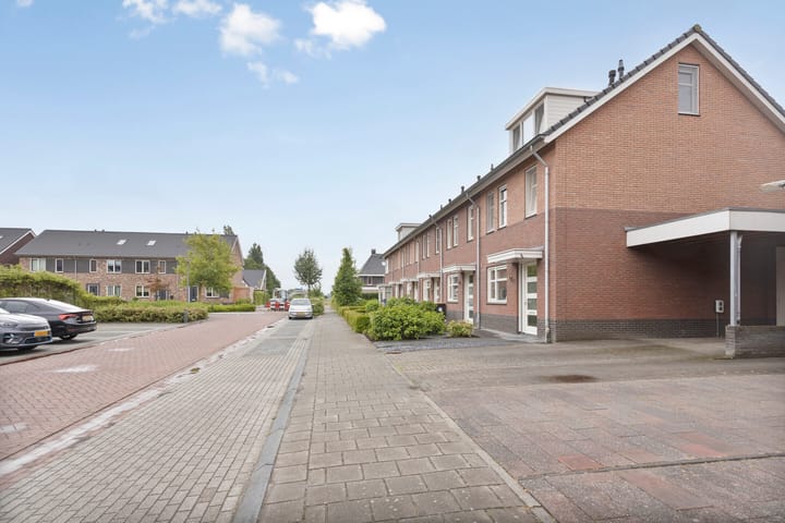 Foto 34 van Citroenvlinder 12