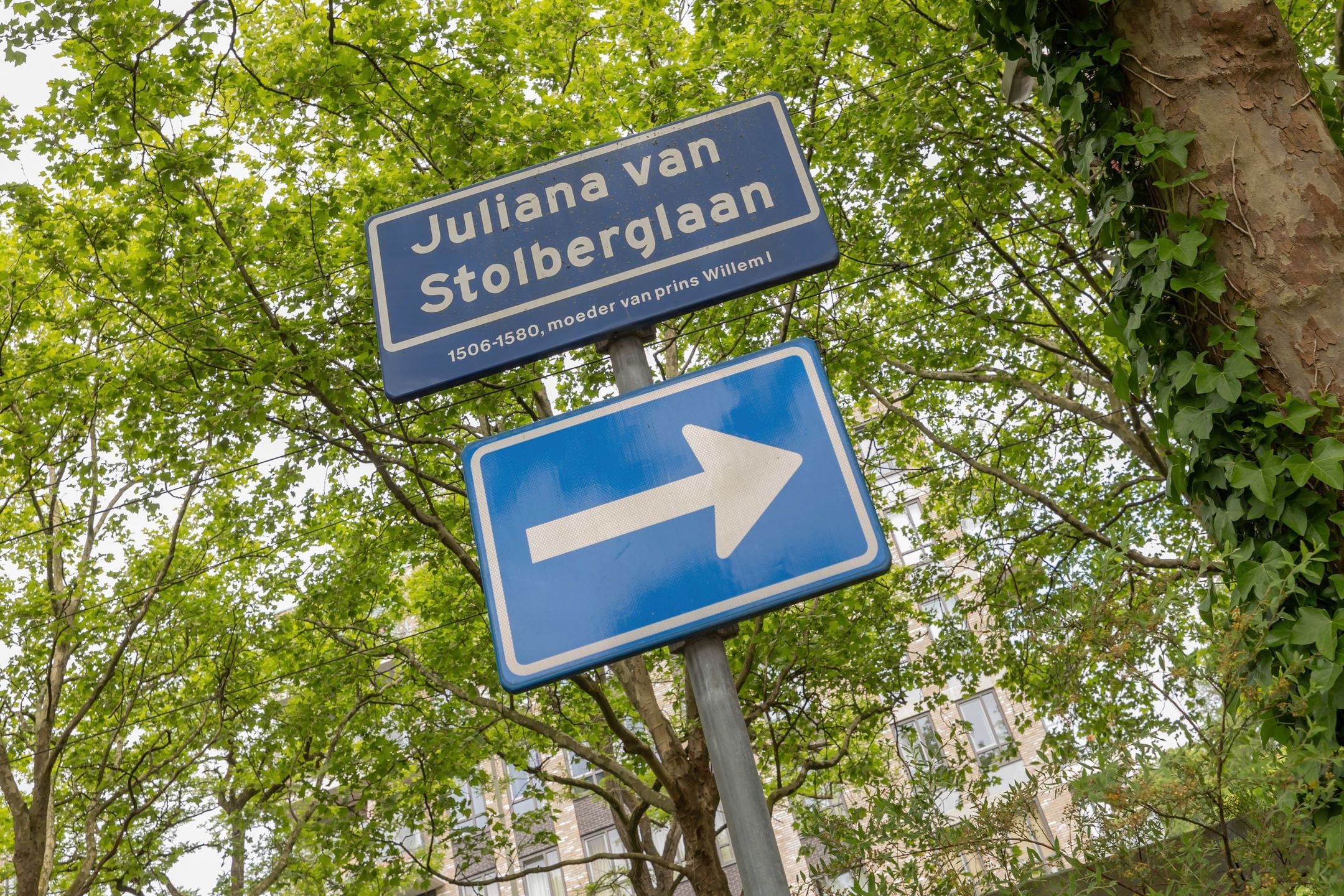 Foto 30 van Juliana van Stolberglaan 9-Q