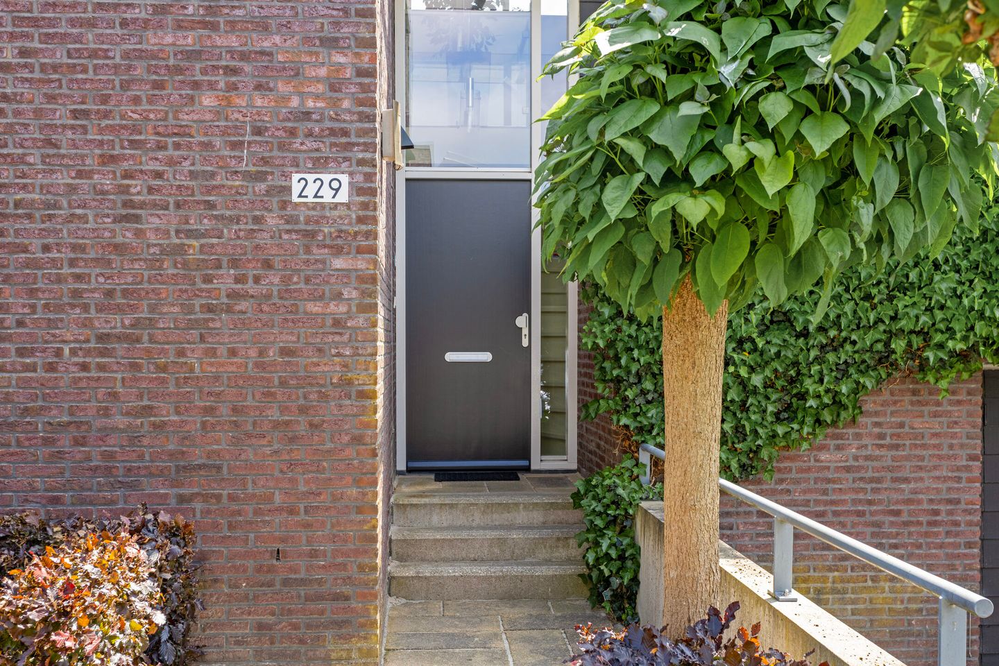 Foto 5 van Goudplevierstraat 229